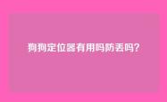 狗狗定位器有用吗防丢吗？