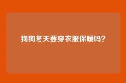 狗狗冬天要穿衣服保暖吗？