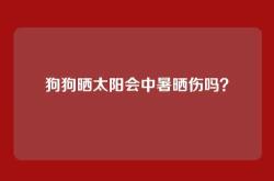 狗狗晒太阳会中暑晒伤吗？