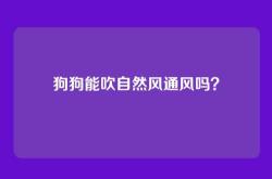 狗狗能吹自然风通风吗？