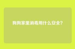 狗狗家里消毒用什么安全？