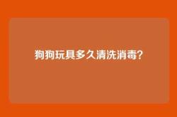 狗狗玩具多久清洗消毒？