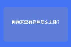 狗狗家里有异味怎么去除？