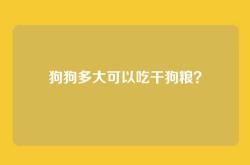 狗狗多大可以吃干狗粮？