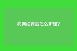 狗狗绝育后怎么护理？