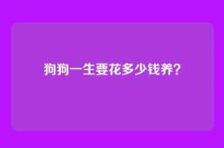 狗狗一生要花多少钱养？