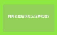 狗狗去世后该怎么安葬处理？