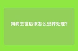 狗狗去世后该怎么安葬处理？