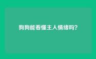 狗狗能看懂主人情绪吗？