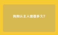 狗狗认主人需要多久？