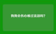 狗狗会伤心难过流泪吗？