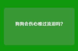 狗狗会伤心难过流泪吗？