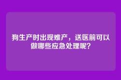 狗生产时出现难产，送医前可以做哪些应急处理呢？