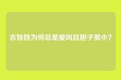 吉娃娃为何总是爱叫且胆子很小？