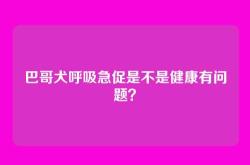 巴哥犬呼吸急促是不是健康有问题？