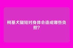 柯基犬腿短对身体会造成哪些负担？
