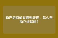 狗产后抑郁有哪些表现，怎么帮助它缓解呢？