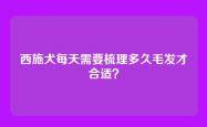 西施犬每天需要梳理多久毛发才合适？