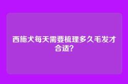 西施犬每天需要梳理多久毛发才合适？