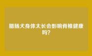 腊肠犬身体太长会影响脊椎健康吗？