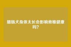 腊肠犬身体太长会影响脊椎健康吗？