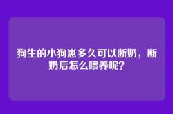 狗生的小狗崽多久可以断奶，断奶后怎么喂养呢？