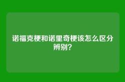 诺福克梗和诺里奇梗该怎么区分辨别？