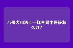 八哥犬和法斗一样容易中暑该怎么办？