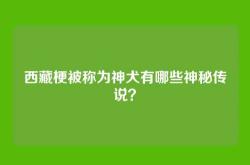 西藏梗被称为神犬有哪些神秘传说？