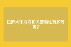 拉萨犬作为守护犬警惕性有多高呢？