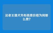 法老王猎犬外形高贵价格为何那么贵？