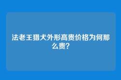 法老王猎犬外形高贵价格为何那么贵？