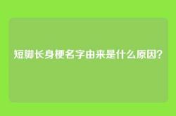 短脚长身梗名字由来是什么原因？