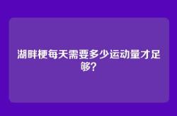 湖畔梗每天需要多少运动量才足够？