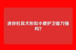 迷你杜宾犬形似小鹿护卫能力强吗？
