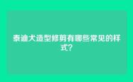 泰迪犬造型修剪有哪些常见的样式？