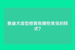 泰迪犬造型修剪有哪些常见的样式？