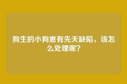 狗生的小狗崽有先天缺陷，该怎么处理呢？