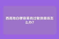 西高地白梗容易有过敏体质该怎么办？
