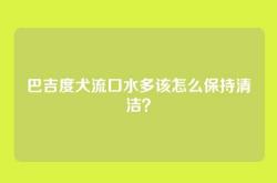 巴吉度犬流口水多该怎么保持清洁？