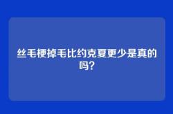 丝毛梗掉毛比约克夏更少是真的吗？