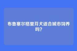 布鲁塞尔格里芬犬适合城市饲养吗？