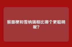 猴面梗和雪纳瑞相比哪个更聪明呢？