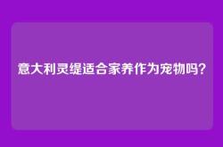 意大利灵缇适合家养作为宠物吗？
