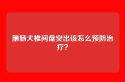 腊肠犬椎间盘突出该怎么预防治疗？