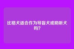 比格犬适合作为导盲犬或助听犬吗？