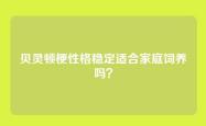 贝灵顿梗性格稳定适合家庭饲养吗？