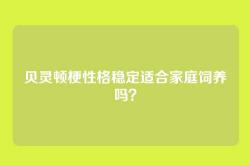 贝灵顿梗性格稳定适合家庭饲养吗？