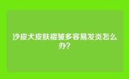 沙皮犬皮肤褶皱多容易发炎怎么办？