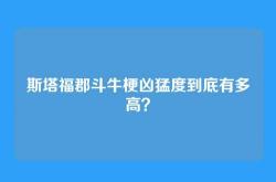 斯塔福郡斗牛梗凶猛度到底有多高？